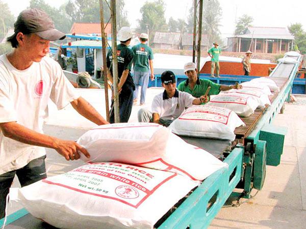 Sẽ chấm điểm uy tín nhà thầu cung cấp gạo dự trữ quốc gia - Ảnh 1. Sẽ chấm điểm uy tín nhà thầu cung cấp gạo dự trữ quốc gia - Ảnh 1.