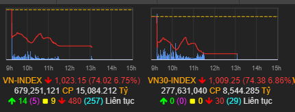 VnIndex đã giảm kịch biên độ, không còn room để giảm thêm trong phiên hôm nay - Ảnh 1. VnIndex đã giảm kịch biên độ, không còn room để giảm thêm trong phiên hôm nay - Ảnh 1.
