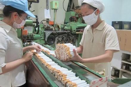 Bộ Công Thương tăng cường quản lý kinh doanh thuốc lá