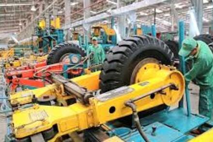 Cao su Đà Nẵng phát hành 35,6 triệu cổ phiếu thưởng, hoàn tất trả cổ tức năm 2024
