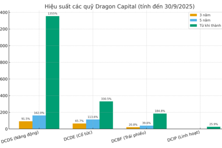 Đa dạng hóa danh mục: Khi cổ phiếu và trái phiếu cùng phát huy thế mạnh