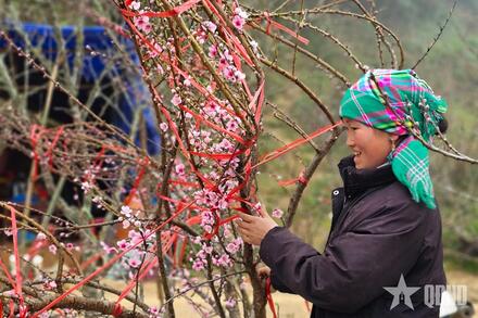 Nhộn nhịp chợ đào đá Sa Pa