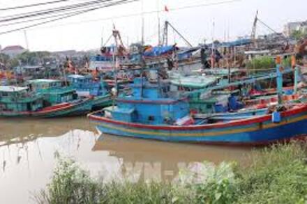 Quyết tâm gỡ cảnh báo “thẻ vàng” IUU