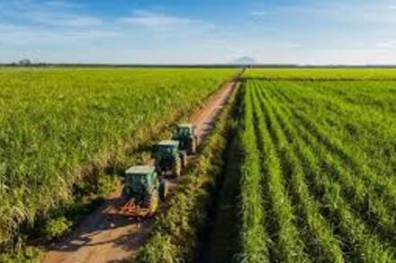 Động lực thúc đẩy nông nghiệp công nghệ cao Tây Ninh