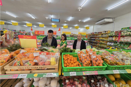 Xuất nhập khẩu Thanh Hóa khởi sắc sau Tết, duy trì đà tăng trưởng ổn định