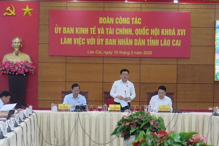 Khảo sát các động lực tăng trưởng và dự án giao thông trọng điểm tại Lào Cai