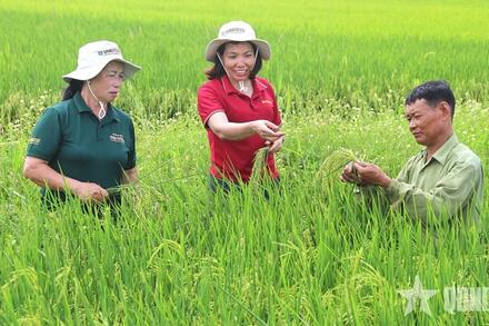 Mở rộng giá trị nông nghiệp qua xuất khẩu giống cây trồng