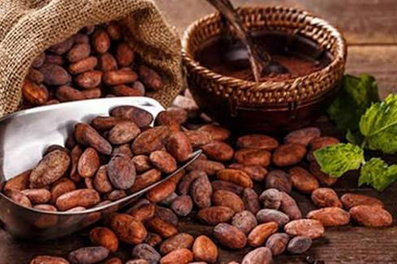 Giá ca cao tăng vọt hơn 9% trước rủi ro nguồn cung