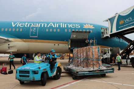 Vietnam Airlines đồng hành vận chuyển sếu đầu đỏ từ Thái Lan về Việt Nam, góp phần bảo tồn đa dạng sinh học