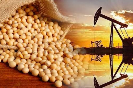 Giá đậu tương chịu áp lực khi lo ngại nguồn cung hạ nhiệt