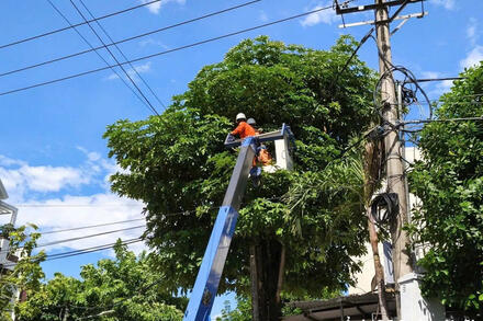 PC Quảng Ngãi chủ động phương án, đảm bảo cấp điện an toàn, liên tục dịp Quốc khánh 2/9