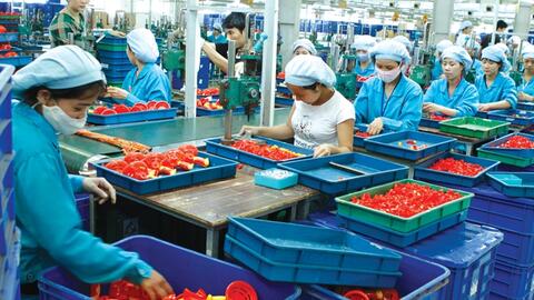 Tăng thuế nhập khẩu nguyên liệu PP lên 6% sẽ “hạ gục” ngành nhựa Việt