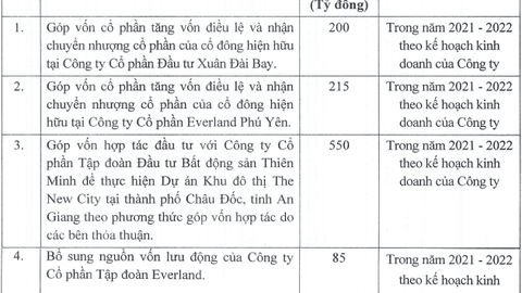 EverLand (EVG) sắp chào bán hơn 200 triệu cổ phiếu, tăng gấp đôi vốn