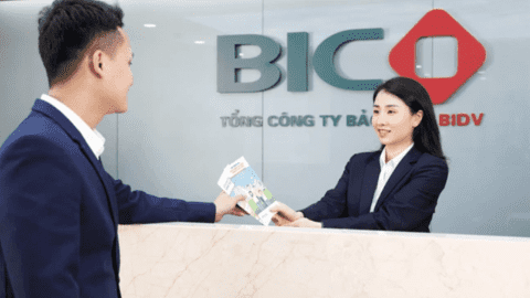Một doanh nghiệp bảo hiểm đặt mục tiêu lợi nhuận "đi lùi" trong năm 2022, cổ phiếu đã tăng 15% trong vòng 1 tháng