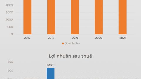 Cổ phiếu "cây thông" quay đầu tăng vượt đỉnh lịch sử, IDI đặt kế hoạch lợi nhuận "khủng"