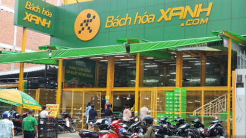 Cả Wincommerce và Saigon Co.op đều chững lại khi doanh thu cán mốc 30.000 tỷ đồng, liệu Bách Hóa Xanh có tận dụng được cơ hội để vượt lên?