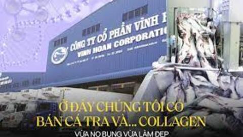"Vua tôm'' Minh Phú đấu ''Vua cá'' Vĩnh Hoàn: Doanh thu thấp hơn hàng nghìn tỷ đồng, vì đâu ''Vua cá'' vẫn lãi gấp 2,5 lần ''Vua tôm''?