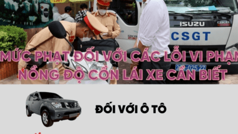 Mức xử phạt đối với các lỗi vi phạm nồng độ cồn lái xe cần biết