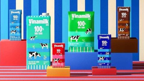 Lợi nhuận quý 3/2023 của Vinamilk cao nhất hai năm, cầm hơn 26.500 tỷ tiền mặt và tiền gửi