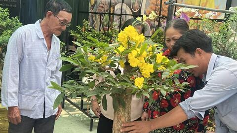 Cây, hoa độc lạ hút khách chơi Tết