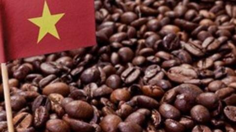 Thứ "chân ái" từ Việt Nam khiến thế giới mê đắm có thể đạt 5 tỷ USD trong năm nay