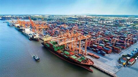 Nhiều doanh nghiệp cảng biển báo lãi trong năm 2023