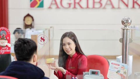 Một công ty có vốn điều lệ 12 tỷ đồng đang nợ Agribank gần 200 tỷ đồng