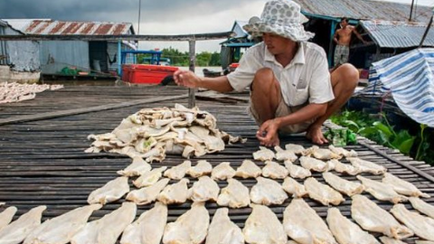 Cá tra Việt Nam thu hơn 200 triệu USD từ đầu năm, người Trung Quốc chuộng hơn cả hàng nội