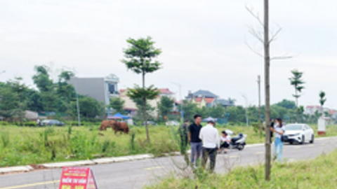 Bắc Giang tạm dừng giao dịch loạt lô đất vì đấu giá gian lận, thông đồng dìm giá