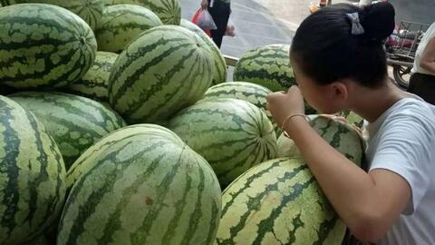 Không cần gõ, nhìn vào phần này của dưa hấu là chọn được quả ngon, ngọt lịm: Đơn giản mà chính xác