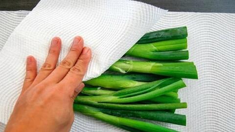 Mua rau về đừng chỉ rửa rồi cất đi, làm thêm bước này rau để cả tháng vẫn tươi xanh như mới