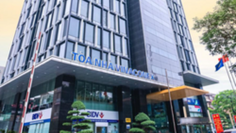 Dragon Capital rời ghế cổ đông lớn Vinaconex ngay sau đợt chia cổ tức