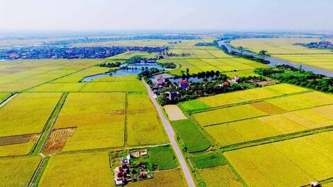 Quy định mới nhất của Luật Đất đai 2024 về việc chuyển đổi đất nông nghiệp lên đất thổ cư
