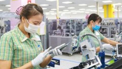 Kim ngạch xuất nhập khẩu bất ngờ chững lại