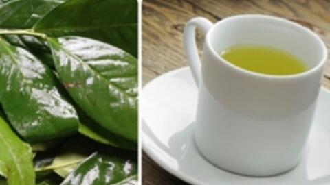 Điều gì sẽ xảy ra nếu bạn uống nước chè xanh mỗi ngày?
