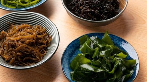 5 loại “rau biển” chứa cả kho báu dinh dưỡng và hoạt chất sinh học tốt cho sức khỏe, nữ giới càng nên ăn thường xuyên