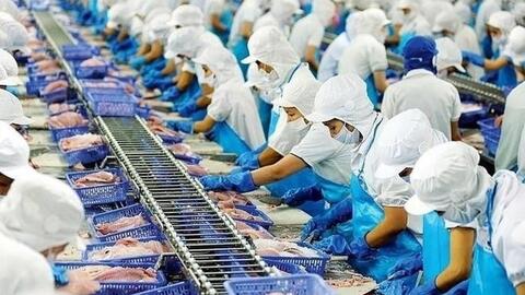 "Nữ hoàng" cá tra báo lãi quý 3 tăng 70%, khoản đầu tư vào DXS trích lập dự phòng quá nửa giá gốc