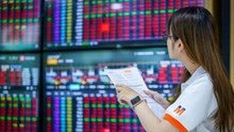 Lịch sự kiện và tin vắn chứng khoán ngày 29/10/2024