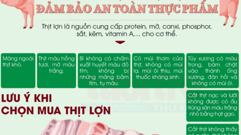 Cách chọn thịt lợn đảm bảo an toàn thực phẩm