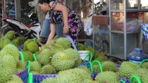 Xuất khẩu nông sản dự kiến đạt kỷ lục 62 tỷ USD