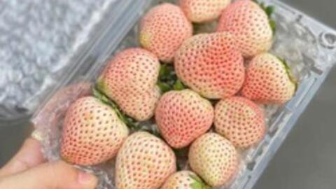 Loại quả đắt đỏ từng có giá tiền triệu nay bán giá rẻ "giật mình"