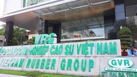 Tập đoàn Cao su (GVR) muốn nâng cổ tức tiền mặt lên 1.600 tỷ