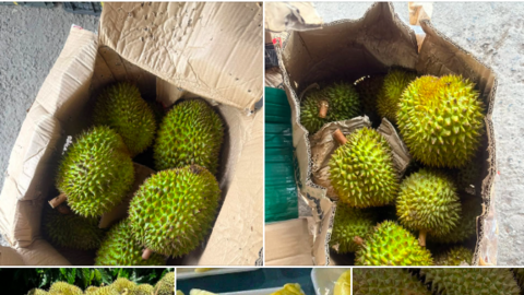 Sầu riêng chợ mạng giá rẻ, người tiêu dùng mạnh tay 'săn' hàng