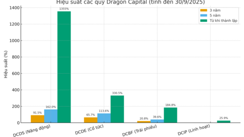 Đa dạng hóa danh mục: Khi cổ phiếu và trái phiếu cùng phát huy thế mạnh