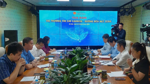Thị trường tín chỉ carbon - đường đến Net Zero