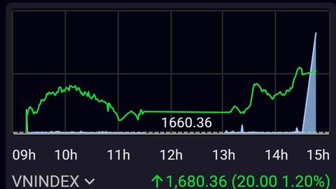 Lực cầu lan tỏa mạnh mẽ, sắc xanh trở lại trên diện rộng