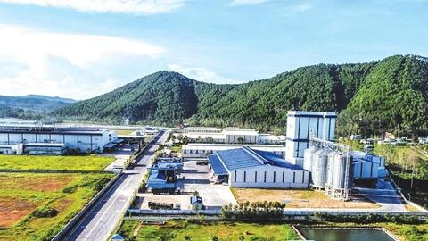 Nghệ An cắt giảm mạnh thủ tục hành chính để “mở đường” cho dự án tại Khu Kinh tế Đông Nam