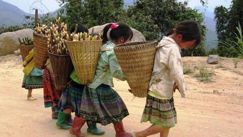 Lạm dụng, bóc lột trẻ em có thể bị phạt đến 50 triệu đồng