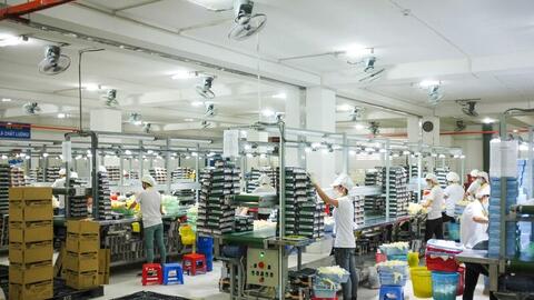 VRG Khải Hoàn dự chi hơn 124 tỷ đồng mua mủ cao su