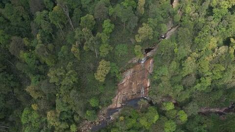 Lào Cai nâng cấp khu bảo tồn thiên nhiên thành Vườn quốc gia Bát Xát
